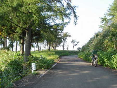 �C�V����2-4