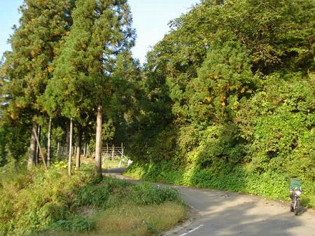 �C�V����3-1