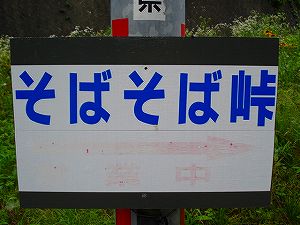 ���΂��Γ��i�x�R�����Q�T���v�g�ד����j1