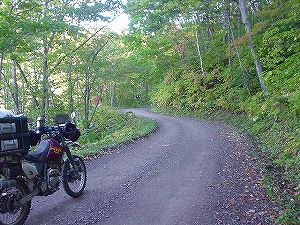 ������(����305��ʊې��z��)2-1�^ORR