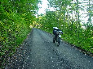 ������(����305��ʊې��z��)2-2�^ORR