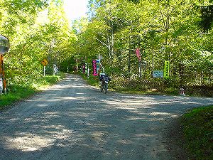 ������(����305��ʊې��z��)2-3�^ORR