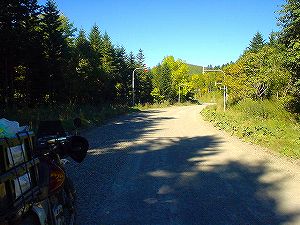 ������(����305��ʊې��z��)2-5�^ORR