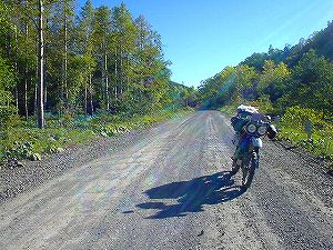 ������(����305��ʊې��z��)2-6�^ORR