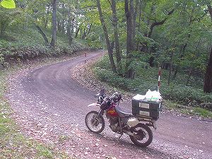 �����U�W�Q���񖔖k����(�`�~�P�b�v)2�^ORR