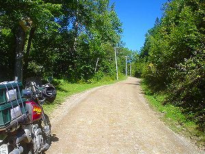 �����S�X�S���P�q�{�Õʐ�2�^ORR