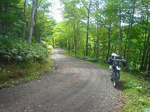 �����S�X�S���P�q�{�Õʐ�6�^ORR