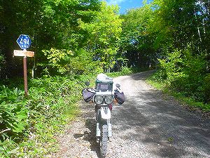 �����S�X�S���P�q�{�Õʐ�7�^ORR