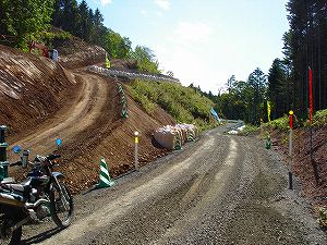 �m�q���i�����U�T�T���m�q�[����j1-7�^ORR