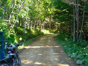 �m�q���i�����U�T�T���m�q�[����j2-2�^ORR