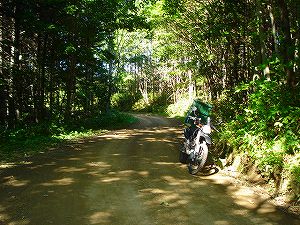 �m�q���i�����U�T�T���m�q�[����j2-3�^ORR