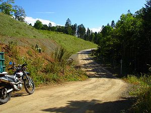 �m�q���i�����U�T�T���m�q�[����j2-4�^ORR