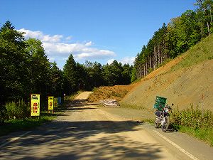 �m�q���i�����U�T�T���m�q�[����j2-5�^ORR