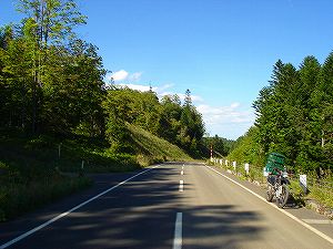 �m�q���i�����U�T�T���m�q�[����j2-6�^ORR