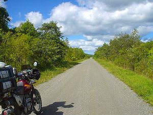 �����V�R�Q���㉎���󊝖��4�^ORR