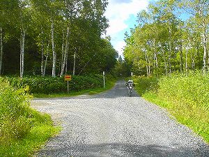 �����V�R�Q���㉎���󊝖��5�^ORR