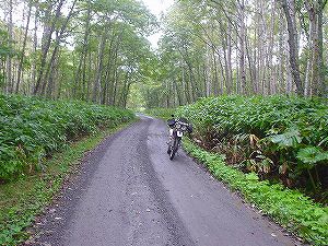 �����W�W�O���㉹�W���W��4�^ORR