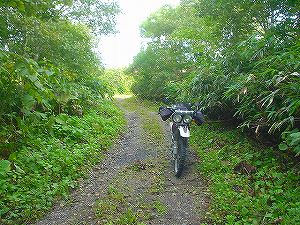 �����W�W�X���㉎�����l��(�ΒY�ʗѓ�)5�^ORR