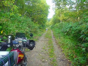 �����W�W�X���㉎�����l��(�ΒY�ʗѓ�)6�^ORR