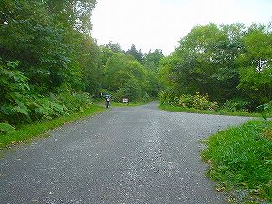 �����W�W�X���㉎�����l��(�b�O���ѓ�)1�^ORR