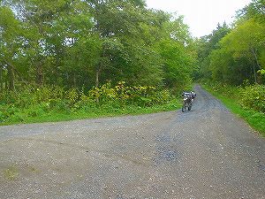 �����W�W�X���㉎�����l��(�b�O���ѓ�)3�^ORR