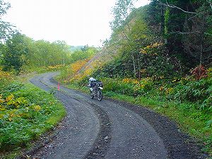 �����Q�T�U���L�x���ʐ�3�^ORR