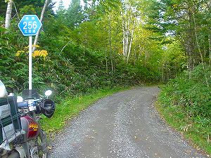 �����Q�T�U���L�x���ʐ�5�^ORR