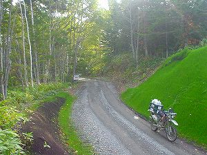 �����Q�T�U���L�x���ʐ�6�^ORR