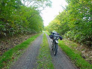 �����P�O�U�Q���͒���d��4�^ORR