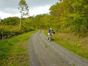 �����P�O�U�Q���͒���d��5�^ORR