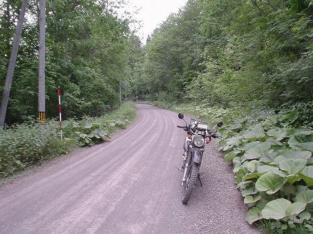 �k�C�����P�S�R���k�����f���J�l������3