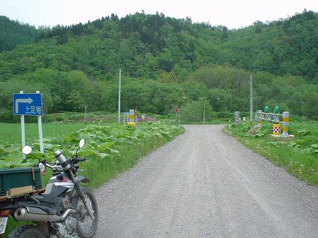 �k�C�����P�S�R���k�����f���J�l������5