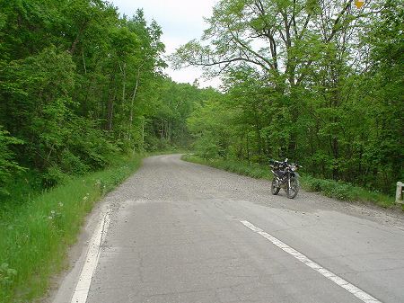 �k�C�����P�S�R���k�����f���J�l������7