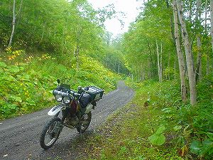 ���ԓ�(�����P�P�W�����[�����)5�^ORR