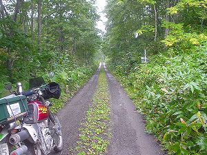 ���ԓ�(�����P�P�W�����[�����)6�^ORR