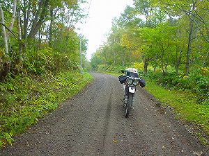 �����U�R�X����m�ʘa����5�^ORR