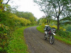 �����U�R�X����m�ʘa����6�^ORR