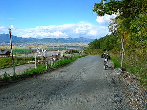 �����Q�T�R�����R�x�ǖ��ԏ��2�^ORR