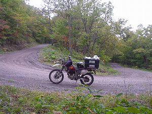 �����P�P�Q�T�����R������3�^ORR