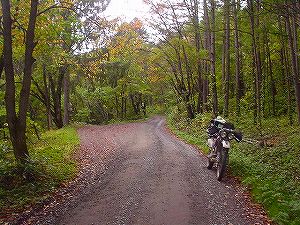 �����P�P�Q�T�����R������5�^ORR