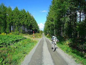 �����T�W�O�����n���_�y��4�^ORR