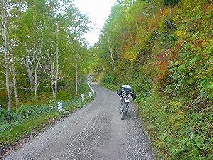 �����Q�Q�R���R�k����5�^ORR