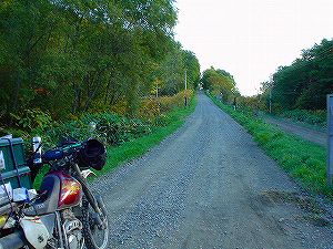 �����T�S�S���[���R����ԏ��2�^ORR