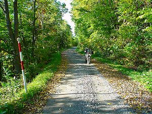 �����T�S�S���[���R����ԏ��4�^ORR