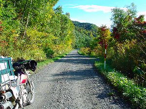 �����T�S�S���[���R����ԏ��5�^ORR