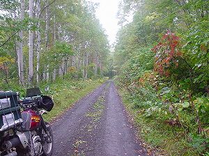 �����ʓ�(�����Q�T�P���J�������)3�^ORR