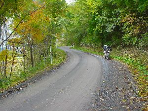 �����X�V�W����ԓ숰�ʐ�5�^ORR