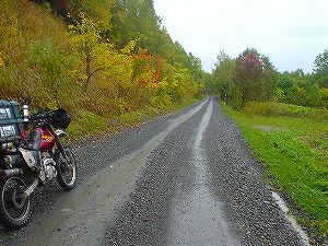 �����V�O�����ʔ��l��5�^ORR