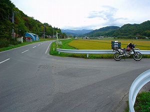 �����V�S�U���������ɐ�1�^ORR