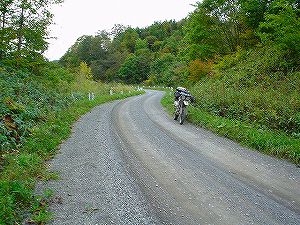 �����V�S�U���������ɐ�5�^ORR